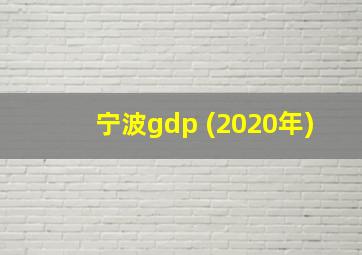 宁波gdp (2020年)